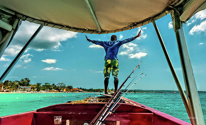 Beach Wall Art featuring the photograph King Of The World by Jim Carlen
