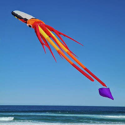 Summer Wall Art featuring the photograph Kite Festival No 3 by Andre Petrov