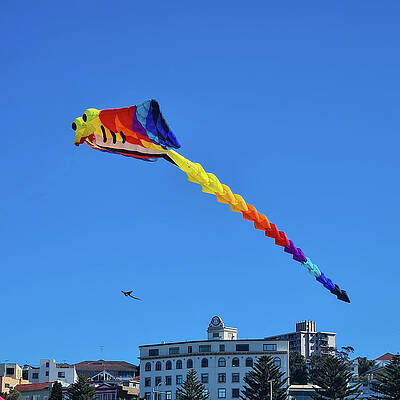 Summer Wall Art featuring the photograph Kite Festival No 4 by Andre Petrov