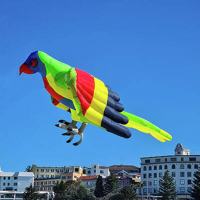 Summer Wall Art featuring the photograph Kite Festival No 5 by Andre Petrov