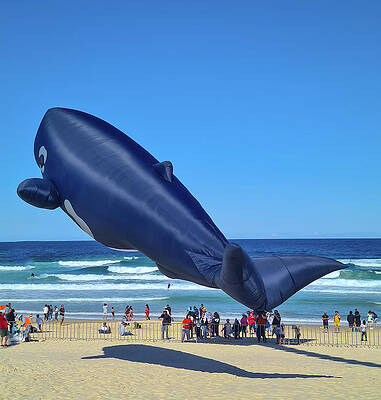 Summer Wall Art featuring the photograph Kite Festival No 6 by Andre Petrov