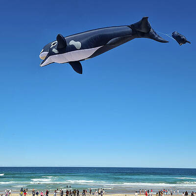 Summer Wall Art featuring the photograph Kite Festival No 7 by Andre Petrov