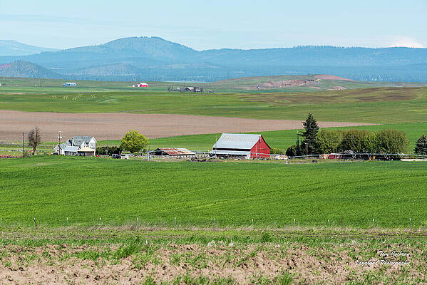 May Photograph - Klickitat Valley Farmland by Tom Cochran