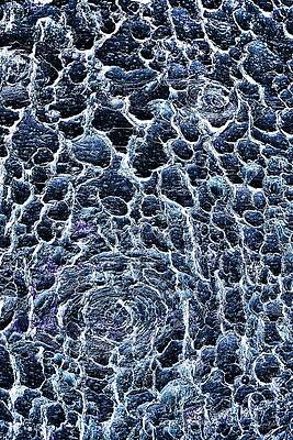 Wall Art featuring the photograph Knotty Pine Bark by Bruce Block