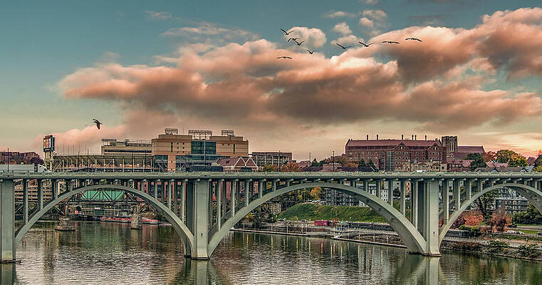Wall Art featuring the photograph Knoxville Dusk by Marcy Wielfaert