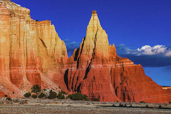 Park Photograph - Kodachrome Basin Tower, Utah by Abbie Warnock