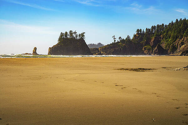 Wall Art featuring the photograph La Push Second Beach With Sea Stacks And Forested Cliffs, Washington State by Miroslav Liska