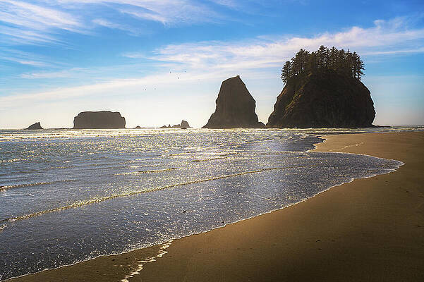 Wall Art featuring the photograph La Push Second Beach With Silhouetted Sea Stacks, Washington State by Miroslav Liska