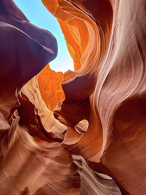 Majestic Sandstone Canyons Photograph