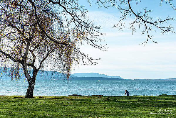 Tranquil Lakeside Moment Photograph
