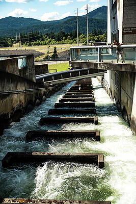 Photograph - Bonneville Ladder Up by Tom Cochran