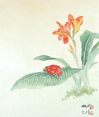 Insects Painting - Lady Beetle by Yan Bingwu and Yang Wenqing