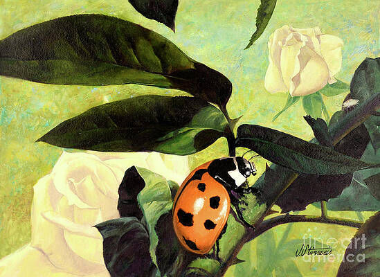 Insects Painting - Ladybug by Shannon Stirnweis