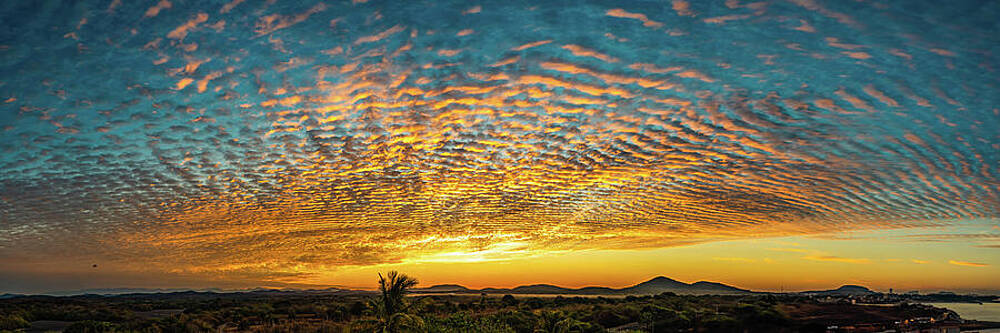 Sunrise Wall Art featuring the photograph Lagoon Jungle Sunrise Mazatlan by Tommy Farnsworth