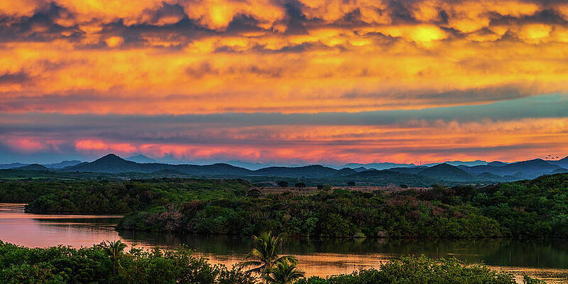 Sunrise Wall Art featuring the photograph Lagoon Sunrise Mazatlan Mexico by Tommy Farnsworth
