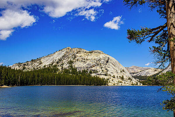 Water Photograph - Lake At Yosemite by David Fountain