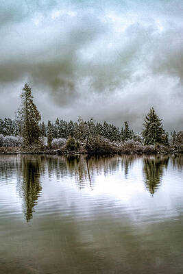 Nature Wall Art featuring the photograph Lake Ballinger Snowy Reflections by Tommy Farnsworth