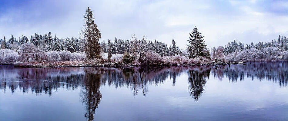 Nature Wall Art featuring the photograph Lake Ballinger Winter Reflection by Tommy Farnsworth