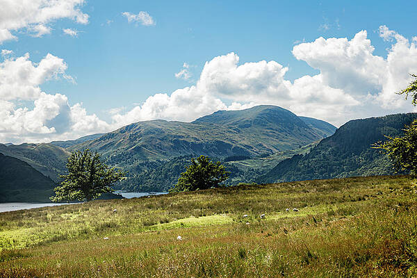 Photograph - Lake District View by Francisco Ruiz Navas