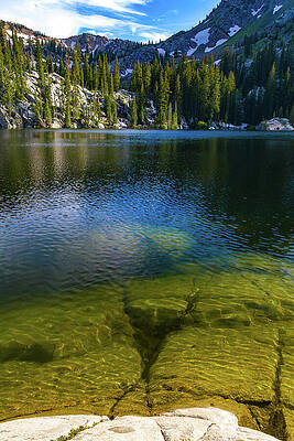 City Wall Art featuring the photograph Lake Marys Quiet Reflection by Tommy Farnsworth