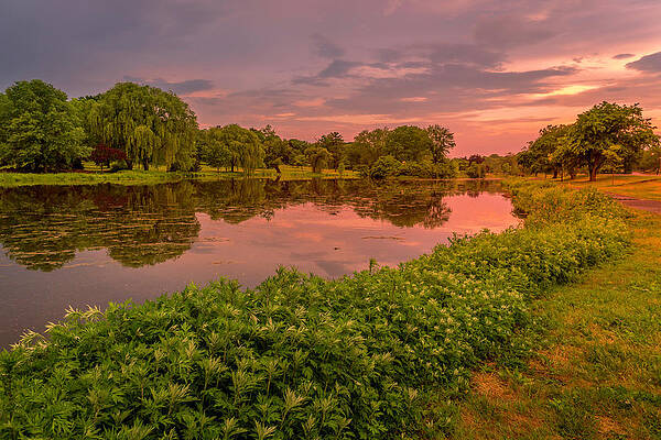 Reflection Wall Art featuring the photograph Lake Muhlenberg Shoreside Sunset by Jason Fink