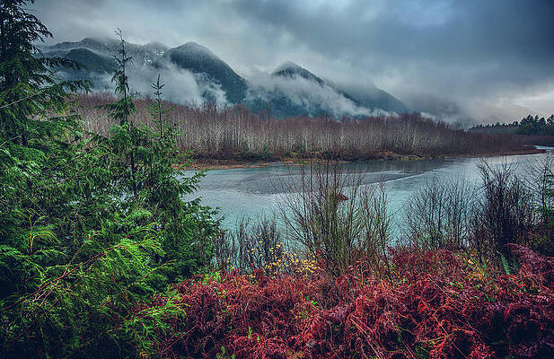 Moody Photograph - Lake Quinault And Olympics by Abbie Warnock