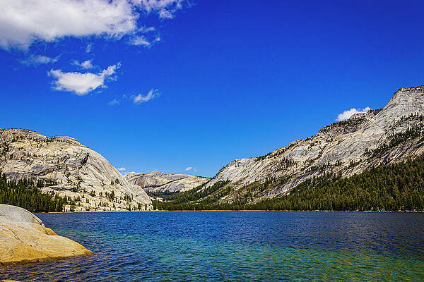 Water Photograph - Lake Scene by David Fountain