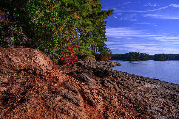Vibrant Photograph - Lake View by Anthony Hightower