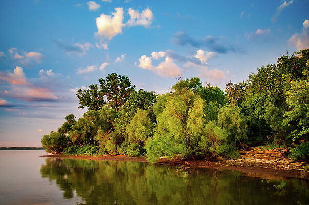 Wall Art featuring the photograph Lakeshore Willows by Jeff Phillippi