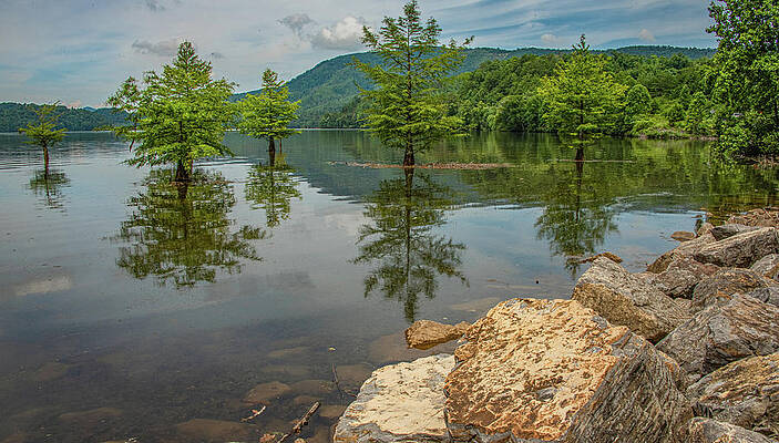 Wall Art featuring the photograph Lakeside Reflections by Marcy Wielfaert