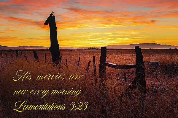 Wall Art featuring the photograph Lamentations Three Twenty Three by Mike Lee
