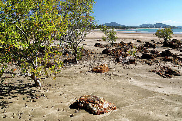 Wall Art featuring the photograph Lammermoor Beach by Nicholas Blackwell