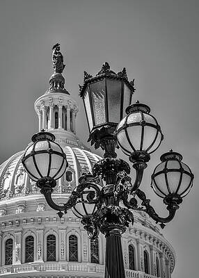 Closeup Wall Art featuring the photograph Lamp Post And The Capitol Dome by Elvira Peretsman