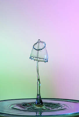 Abstract Wall Art featuring the photograph Lampshade 2 by Sue Leonard