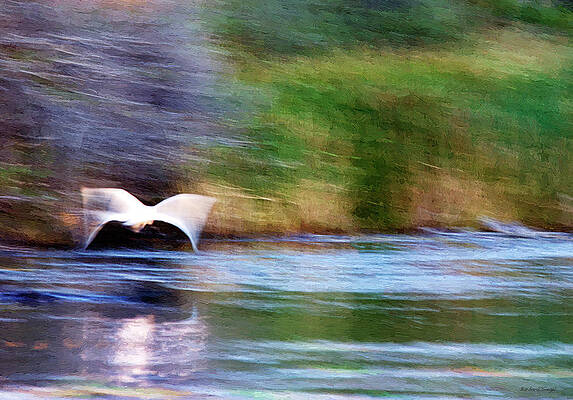 Tranquil Wall Art featuring the photograph Landing by Barbara Siegel