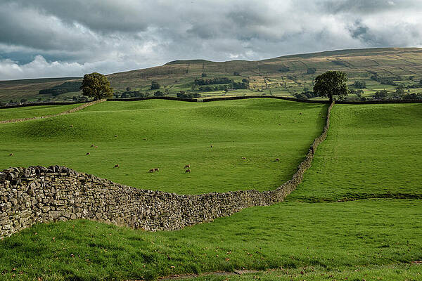 Rolling Hills and Stone Walls Photograph