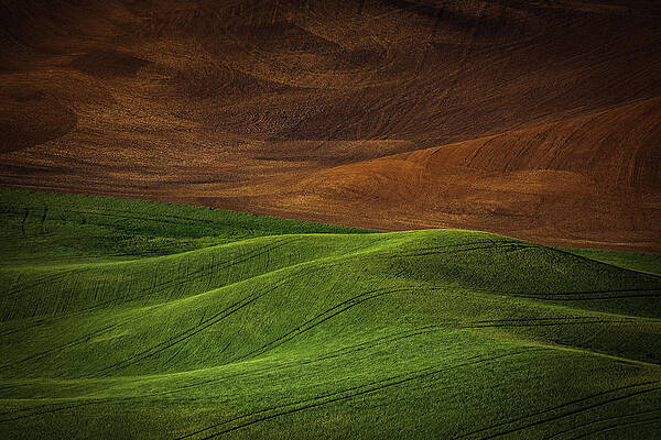 Summer Wall Art featuring the photograph Landwriting 1 by Ursula Abresch