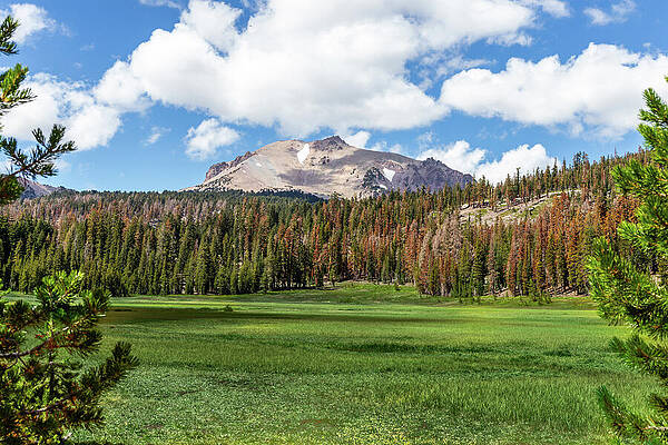 Cloud Wall Art featuring the photograph Lassen Peak And Green Meadow by Ed Clark