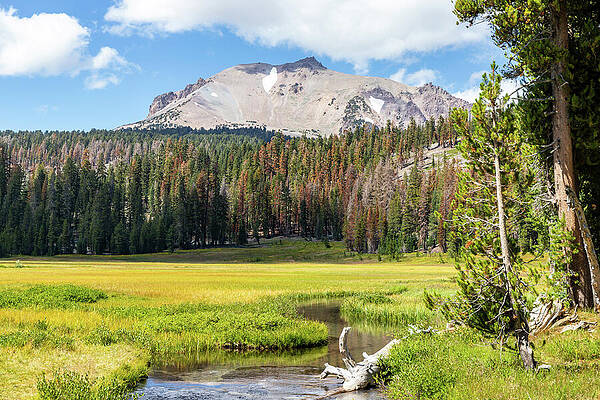 Cloud Wall Art featuring the photograph Lassen Peak And Kings Creek by Ed Clark