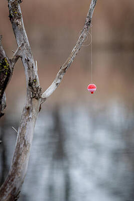 Serene Photograph - Last Cast_3512 by Mark Triplett