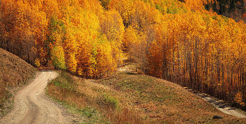Wall Art featuring the photograph Last Dollar Road Fall by Dan Sproul