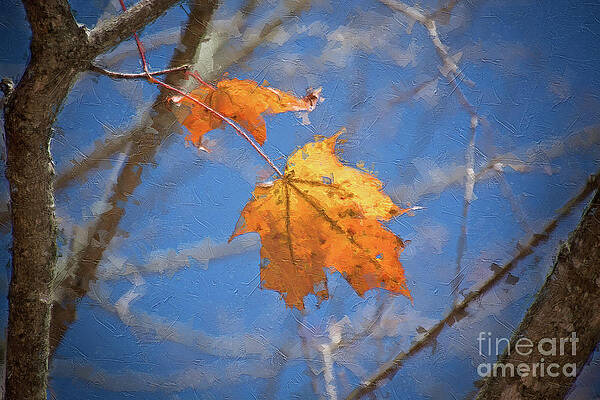 Wall Art featuring the digital art Last Leaves - Autumn Memoir by Rehna George