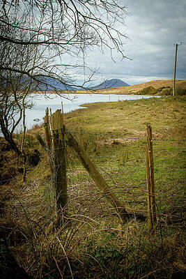 Landscape Photograph - Last Legs by Mark Callanan