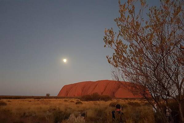 Natural Wall Art featuring the photograph Last Light At Uluru Rock by Andre Petrov