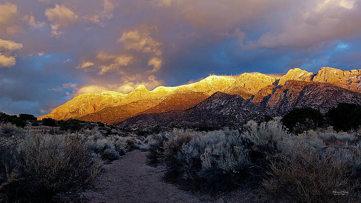 Last Light in the Sandia Foothills by Howard Holley