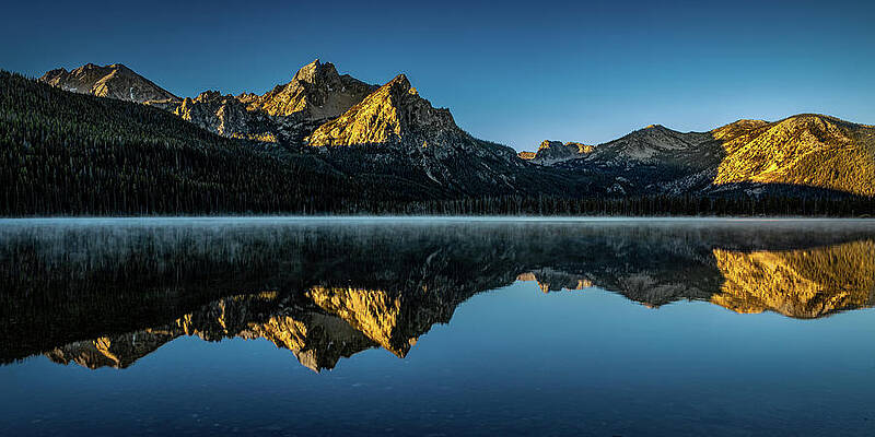 Nature Photograph - Last To Wake by Tim Lyden