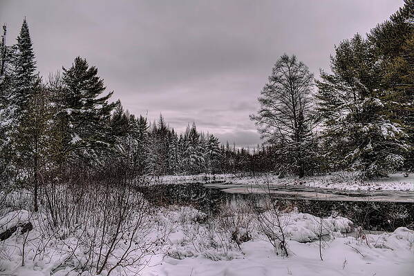 Country Wall Art featuring the photograph Late Afternoon On Boot Creek by Dale Kauzlaric
