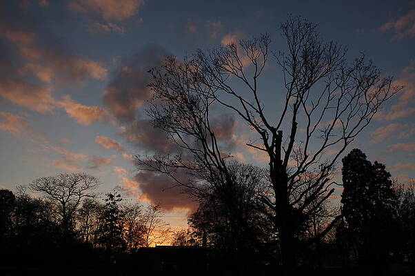 Sky Photograph - Late Afternoon Sunset by Murray Croft