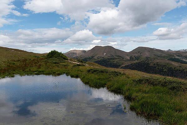 Rocky Mountain National Park Photograph - Late Summer Alpine Pond by Cascade Colors