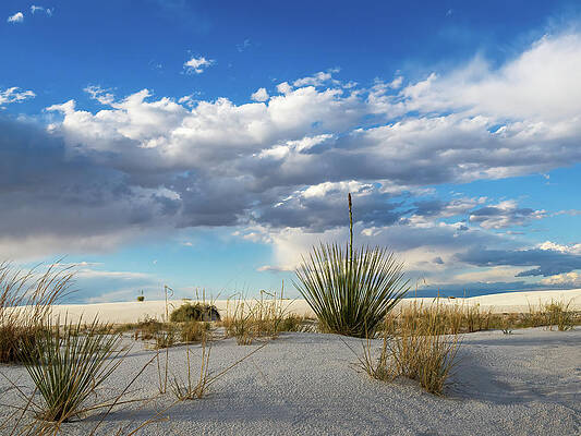 New Mexico Photograph - Late White Sands Afternoon by Joe Schofield